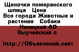 Щеночки померанского шпица › Цена ­ 25 000 - Все города Животные и растения » Собаки   . Ненецкий АО,Выучейский п.